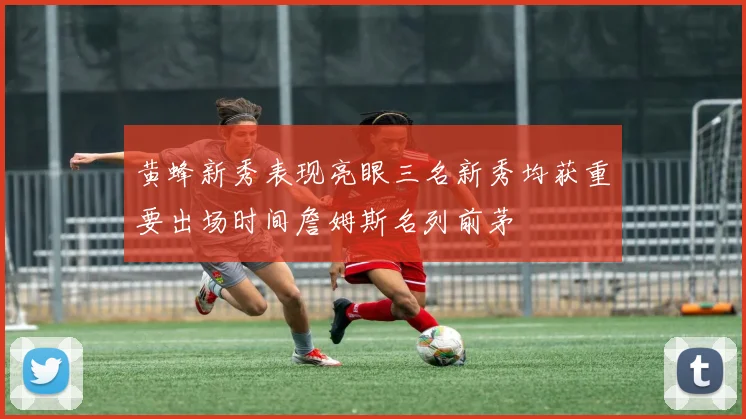 黄蜂新秀表现亮眼三名新秀均获重要出场时间詹姆斯名列前茅