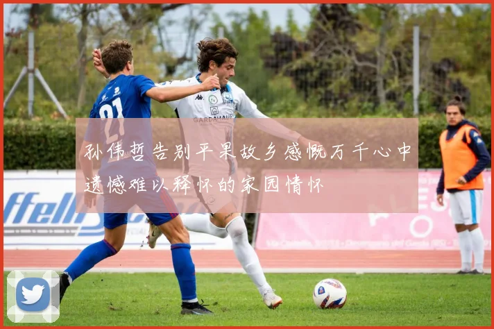 孙伟哲告别平果故乡感慨万千心中遗憾难以释怀的家园情怀
